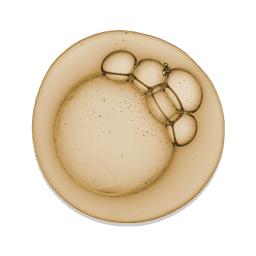 Hydrolyzed Algin